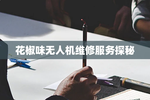 花椒味无人机维修服务探秘