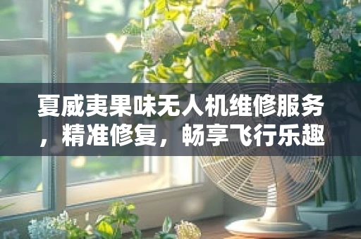 夏威夷果味无人机维修服务，精准修复，畅享飞行乐趣