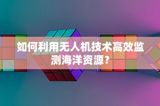 如何利用无人机技术高效监测海洋资源？