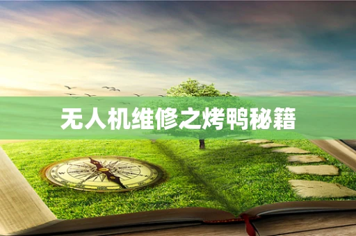 无人机维修之烤鸭秘籍