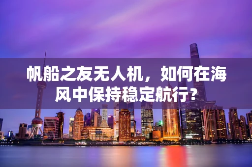 帆船之友无人机，如何在海风中保持稳定航行？