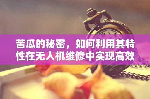 苦瓜的秘密，如何利用其特性在无人机维修中实现高效清洁？