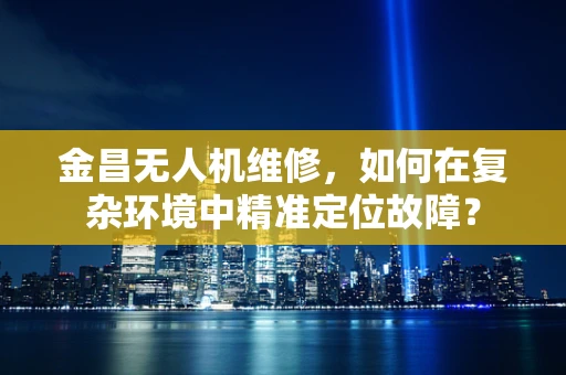 金昌无人机维修，如何在复杂环境中精准定位故障？