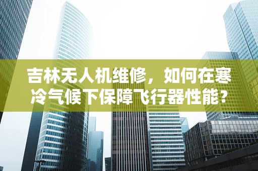 吉林无人机维修，如何在寒冷气候下保障飞行器性能？
