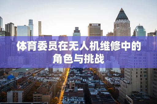 体育委员在无人机维修中的角色与挑战