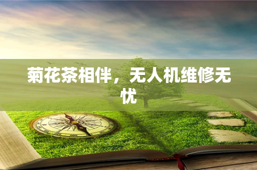 菊花茶相伴，无人机维修无忧