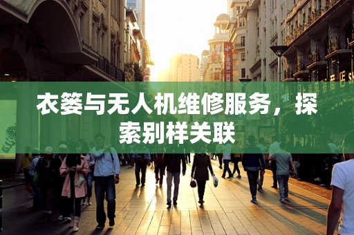 衣篓与无人机维修服务，探索别样关联