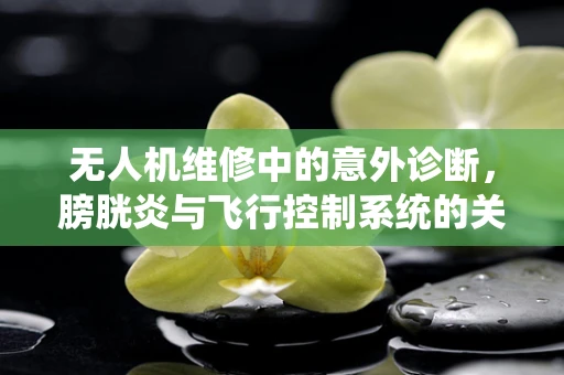 无人机维修中的意外诊断，膀胱炎与飞行控制系统的关联？