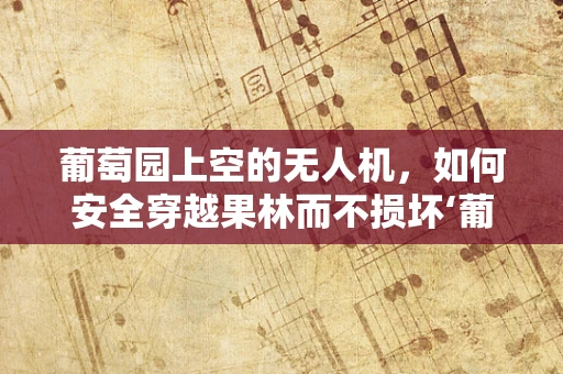葡萄园上空的无人机，如何安全穿越果林而不损坏‘葡萄’？