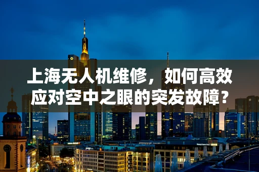 上海无人机维修，如何高效应对空中之眼的突发故障？