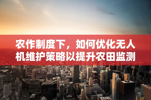 农作制度下，如何优化无人机维护策略以提升农田监测效率？
