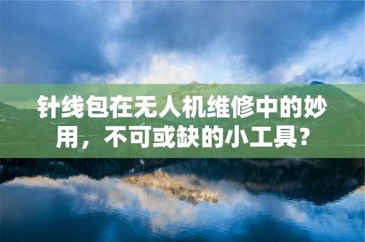 针线包在无人机维修中的妙用，不可或缺的小工具？