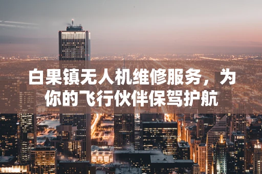 白果镇无人机维修服务，为你的飞行伙伴保驾护航