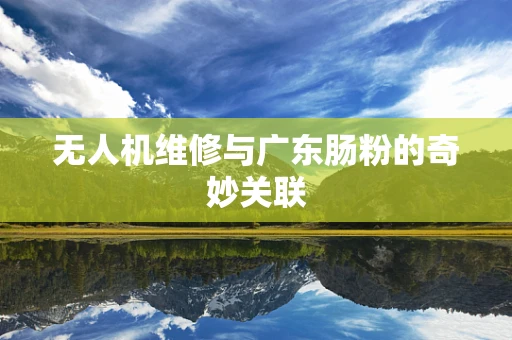 无人机维修与广东肠粉的奇妙关联