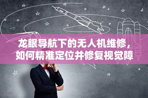 龙眼导航下的无人机维修，如何精准定位并修复视觉障碍？