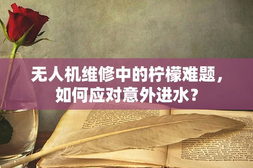 无人机维修中的柠檬难题，如何应对意外进水？