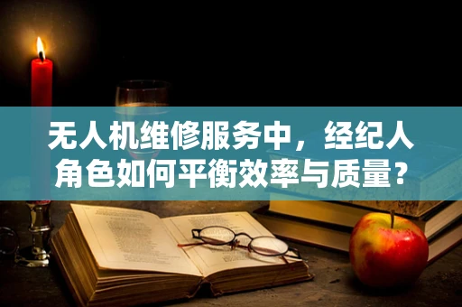 无人机维修服务中，经纪人角色如何平衡效率与质量？