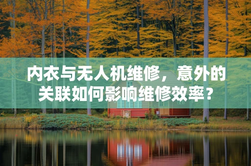 内衣与无人机维修，意外的关联如何影响维修效率？
