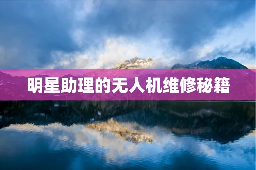 明星助理的无人机维修秘籍