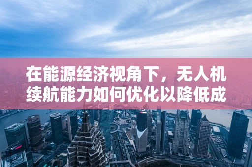 在能源经济视角下，无人机续航能力如何优化以降低成本？