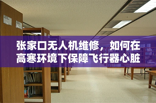 张家口无人机维修，如何在高寒环境下保障飞行器心脏健康？
