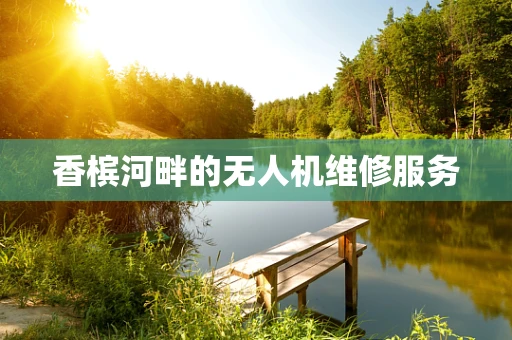 香槟河畔的无人机维修服务
