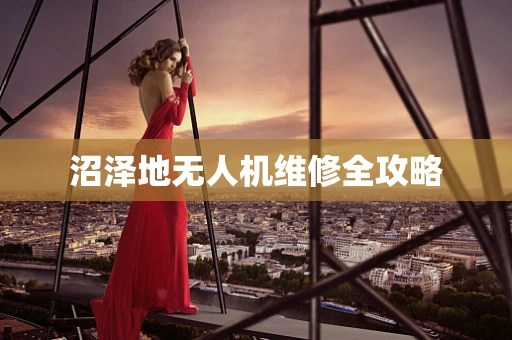 沼泽地无人机维修全攻略