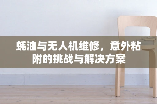 蚝油与无人机维修，意外粘附的挑战与解决方案
