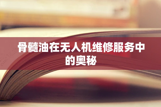 骨髓油在无人机维修服务中的奥秘