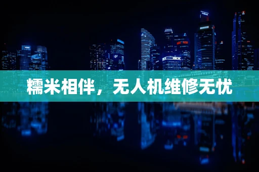 糯米相伴，无人机维修无忧