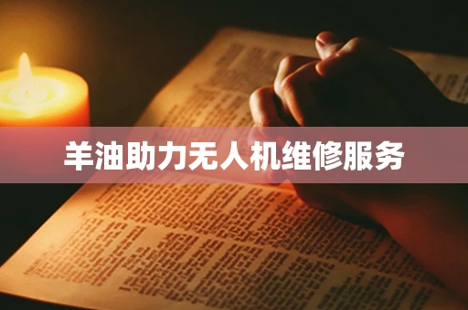 羊油助力无人机维修服务