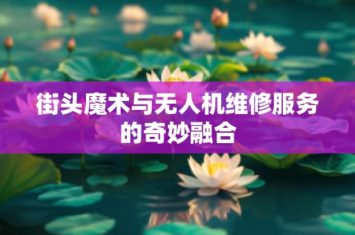 街头魔术与无人机维修服务的奇妙融合