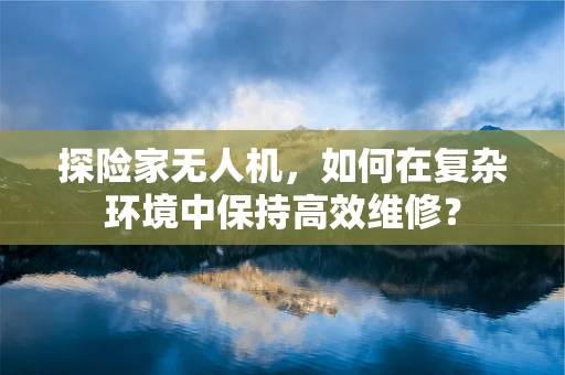探险家无人机，如何在复杂环境中保持高效维修？