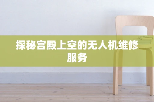 探秘宫殿上空的无人机维修服务
