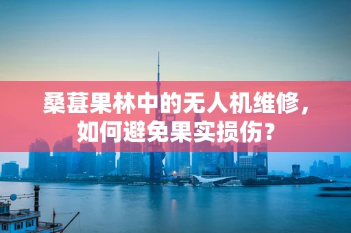 桑葚果林中的无人机维修，如何避免果实损伤？