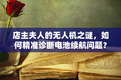 店主夫人的无人机之谜，如何精准诊断电池续航问题？