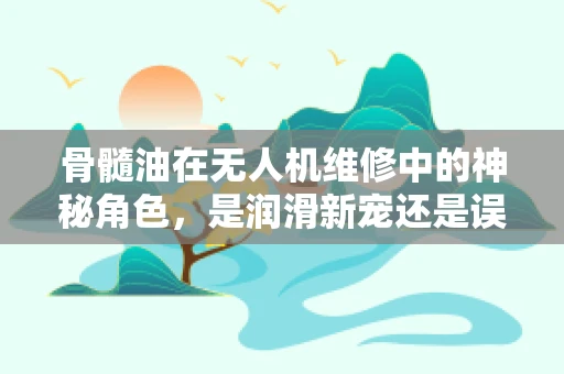 骨髓油在无人机维修中的神秘角色，是润滑新宠还是误解之谈？