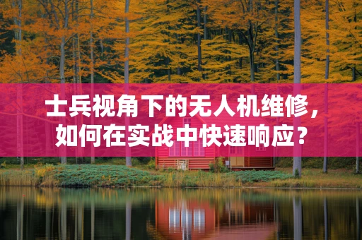 士兵视角下的无人机维修，如何在实战中快速响应？