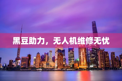 黑豆助力，无人机维修无忧