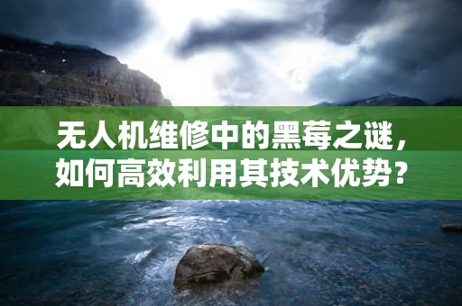 无人机维修中的黑莓之谜，如何高效利用其技术优势？