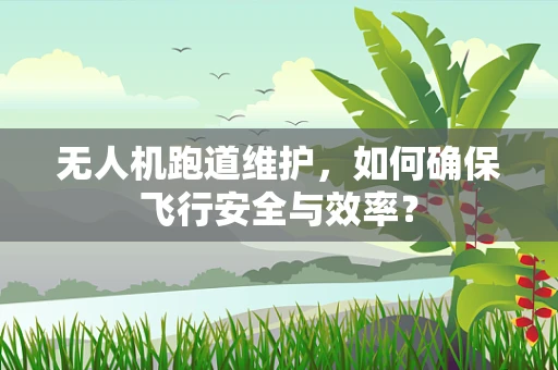 无人机跑道维护，如何确保飞行安全与效率？