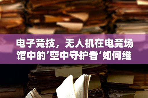电子竞技，无人机在电竞场馆中的‘空中守护者’如何维护？