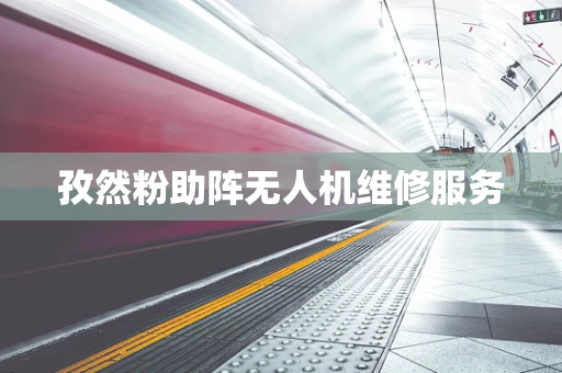 孜然粉助阵无人机维修服务