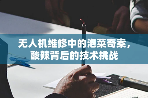 无人机维修中的泡菜奇案，酸辣背后的技术挑战
