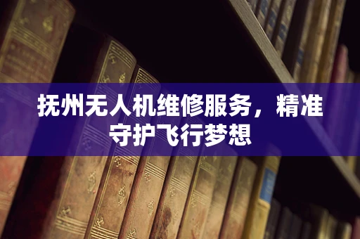 抚州无人机维修服务，精准守护飞行梦想