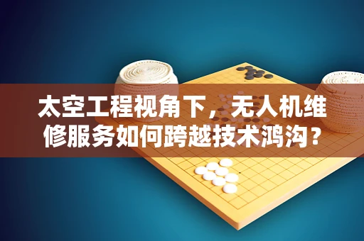 太空工程视角下，无人机维修服务如何跨越技术鸿沟？