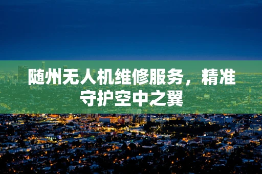 随州无人机维修服务，精准守护空中之翼