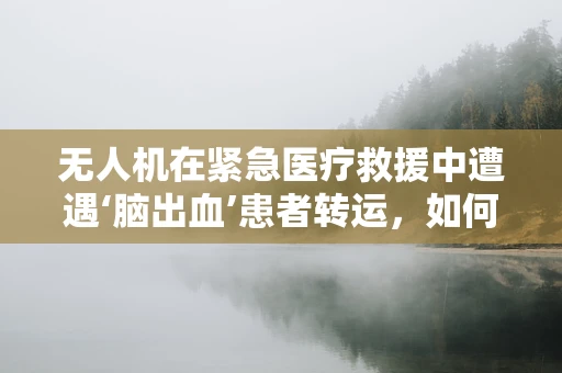 无人机在紧急医疗救援中遭遇‘脑出血’患者转运，如何精准定位并安全施救？