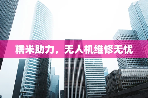 糯米助力，无人机维修无忧