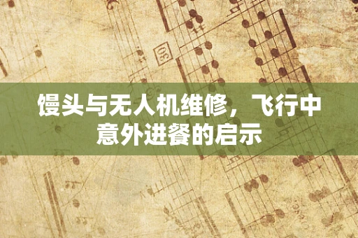 馒头与无人机维修，飞行中意外进餐的启示